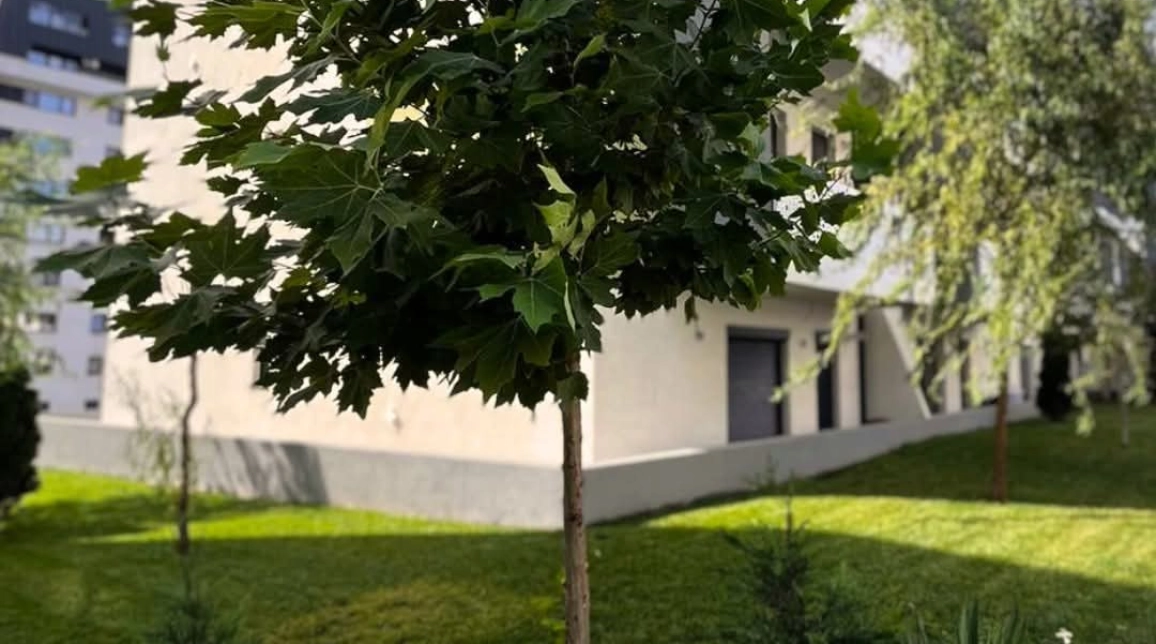 Oferta Pacurari apartament nou 38 mp, 1 camera, decomandat, de vanzare,  Scoala Paradis imagine 6