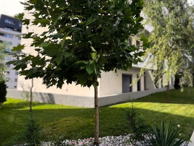 Pacurari apartament nou  38 mp, 1 camera,  decomandat, de vanzare,  (Scoala Paradis) 160279