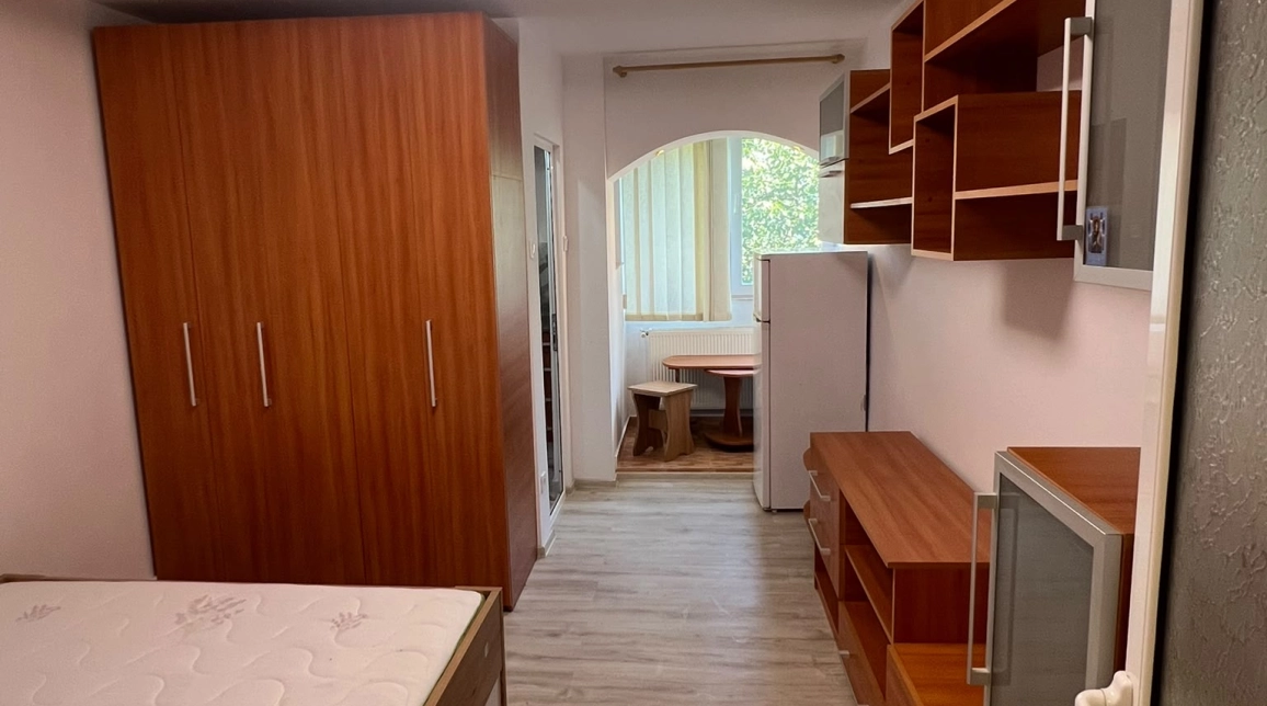 Oferta Apartament, 1 camera decomandat, 22 mp, Nicolina, de vanzare,  Bradului imagine 1