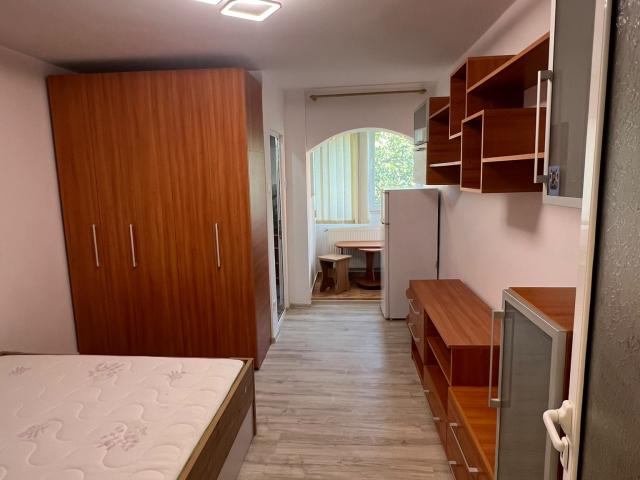 Apartament, 1 camera  decomandat,  22 mp, Nicolina, de vanzare,  (Bradului) 163131