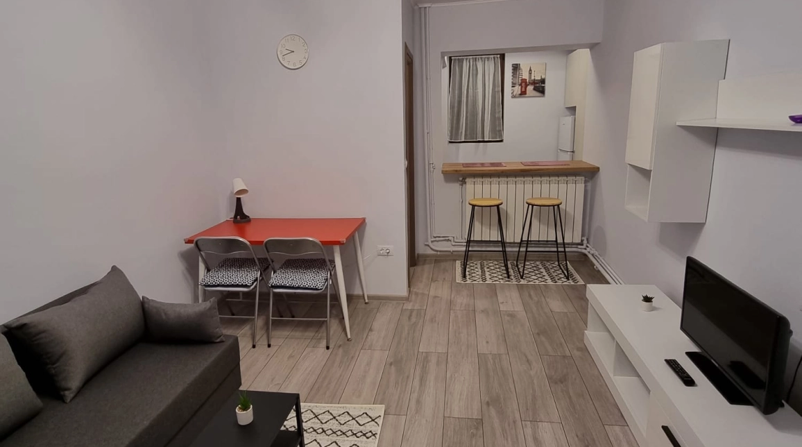 Oferta Apartament, 1 camera semidecomandat, 23 mp, Nicolina, de vanzare,  Gara Nicolina imagine 3