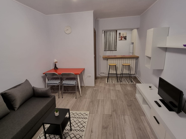 Apartament, 1 camera  semidecomandat,  23 mp, Nicolina, de vanzare,  (Gara Nicolina) 163401