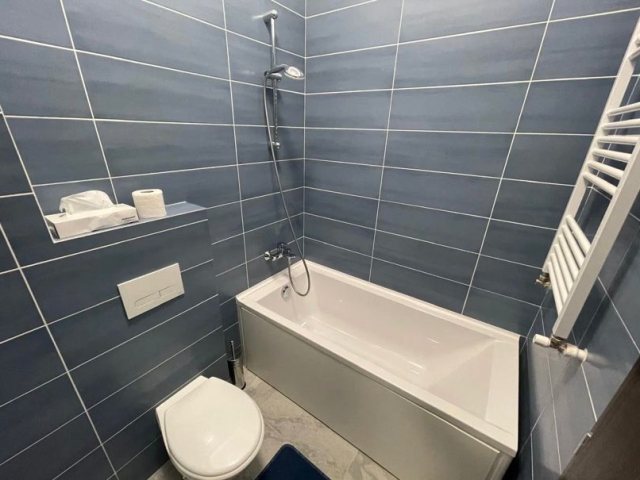 Apartament de inchiriat, 1 camera,  garsoniera,  22 mp, Central,  (Palas Mall) 161245