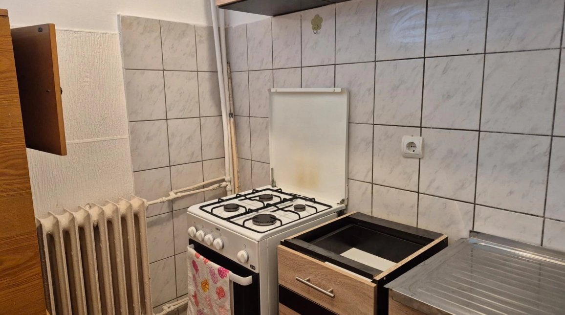 Oferta De inchiriat apartament, 1 camera, open-space, 30 mp, Tatarasi,  Statia Flora imagine 7