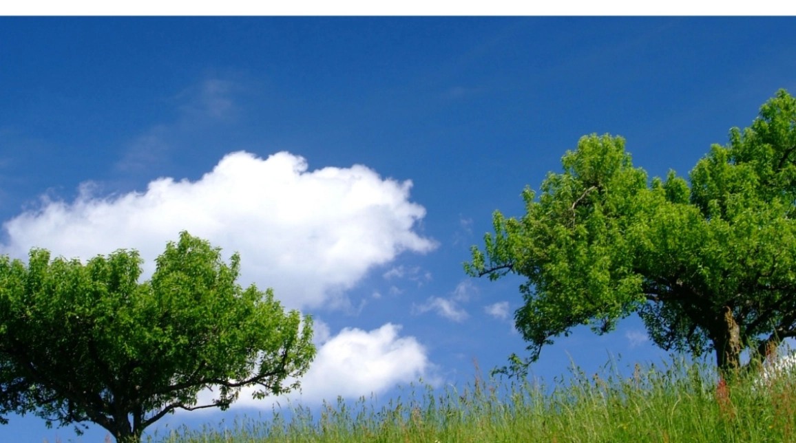 Oferta Teren de vanzare Valea Adanca mai sus  de Mega Image 498 mp  imagine 1