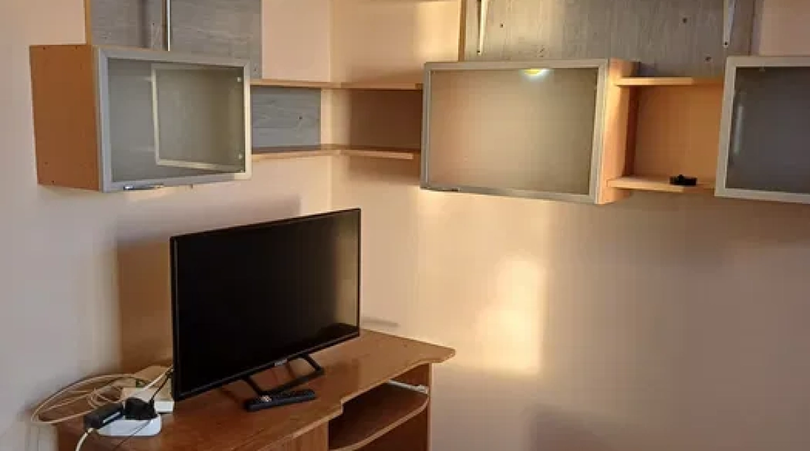 Oferta 1 camera, decomandat, 24 mp, de inchiriat apartament in zona Alexandru cel Bun,  Terasa Ritta imagine 4