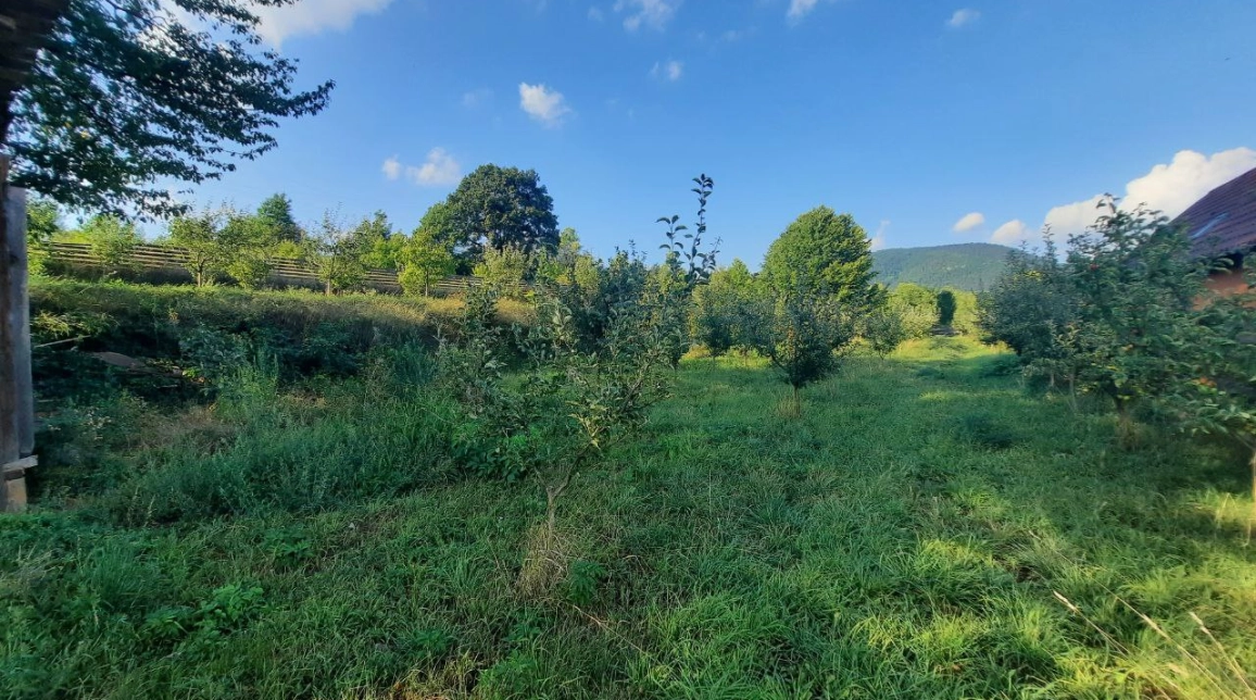 Oferta Teren de vanzare Alexandru cel bun (Jud. Neamt) Viisoara / Pensiunea Smarandita 1091 mp  imagine 1