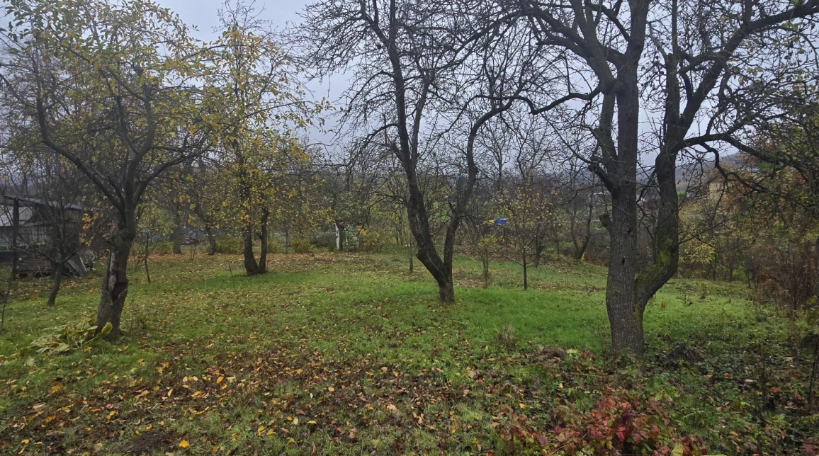Oferta Teren de vanzare Tomesti Biserica 500 mp  imagine 8