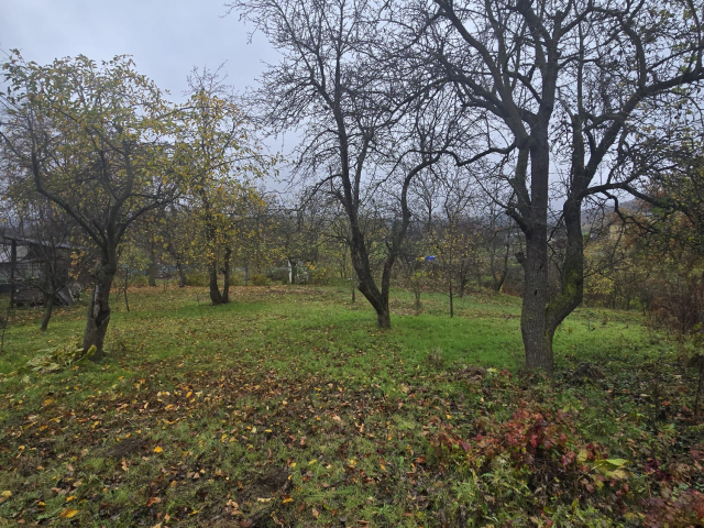 Teren  Tomesti Biserica 500mp  160514