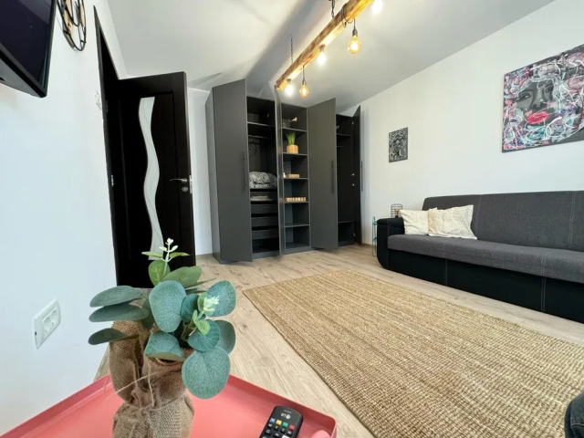 De inchiriat apartament, 1 camera,  garsoniera,  35 mp, Precista,  (Scoala Nr.4) 162157