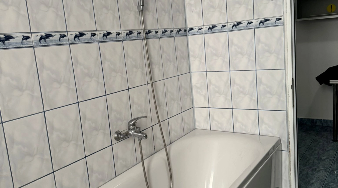 Oferta Apartament, 2 camere decomandat, 50 mp, Centru, de inchiriat,  Piata Unirii imagine 8