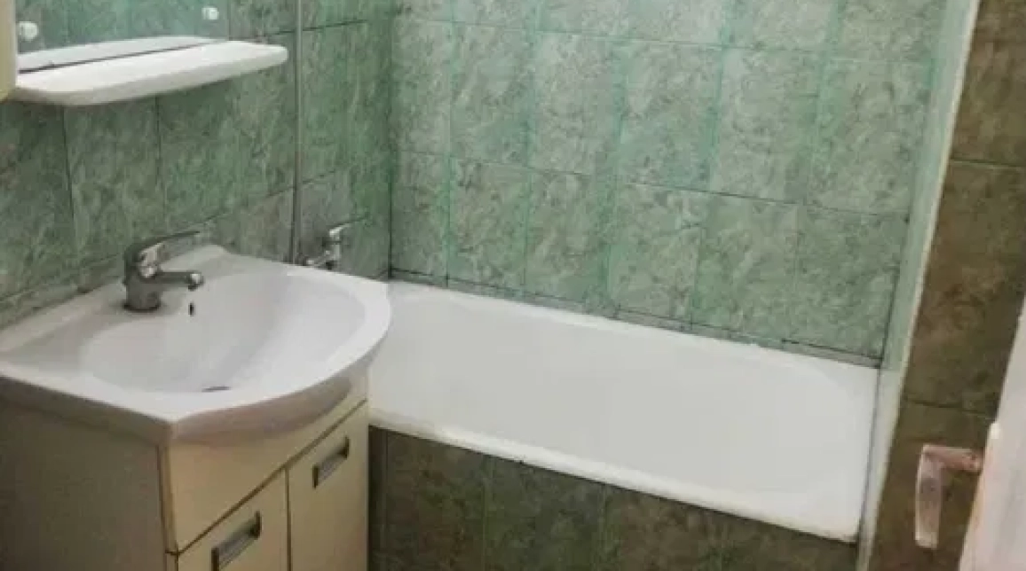 Oferta 1 camera, decomandat, 24 mp, de inchiriat apartament in zona Alexandru cel Bun,  Terasa Ritta imagine 5
