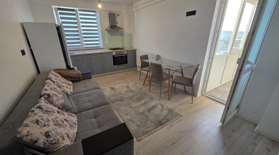 Oferta Apartament, 2 camere open-space, 50 mp, Popas Pacurari, de inchiriat imagine 8