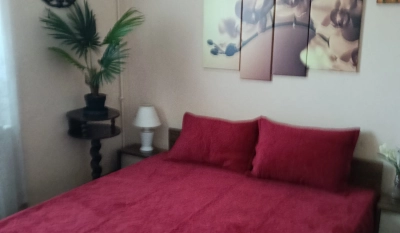 Apartament 2 camere - Podu Ros