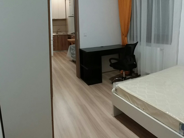 1 camera,  studio,  27 mp, de vanzare apartament in zona Tatarasi,  (Kaufland-bloc nou) 162223