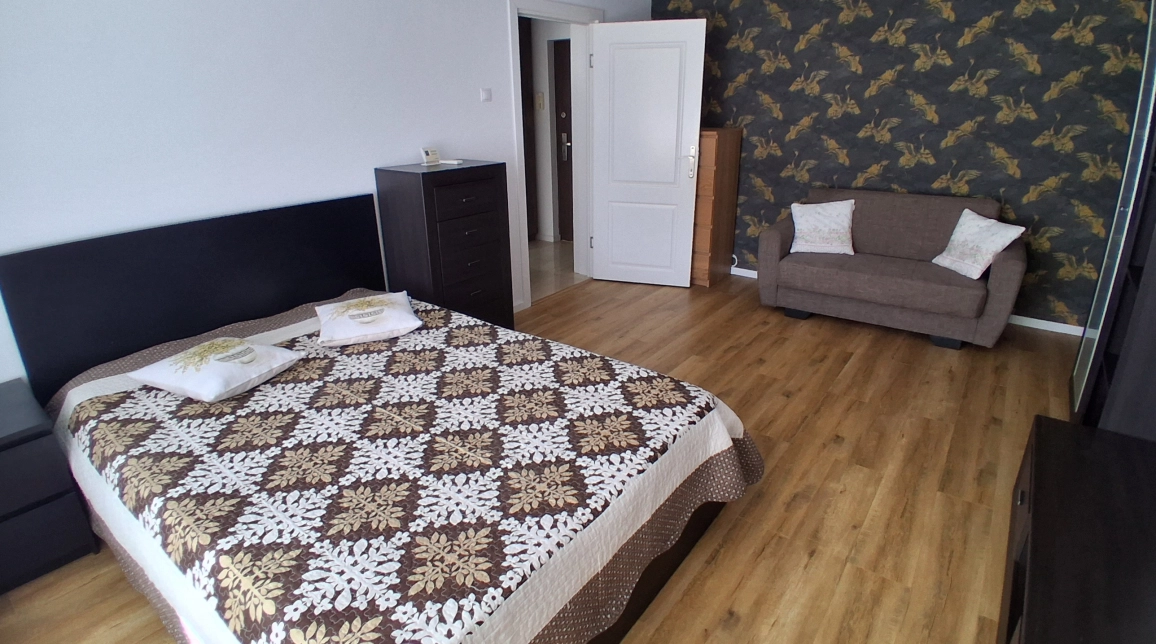 Oferta De vanzare apartament, 1 camera, decomandat, 40 mp, Pacurari,  MOARA DE FOC- AUTOCENTER imagine 2