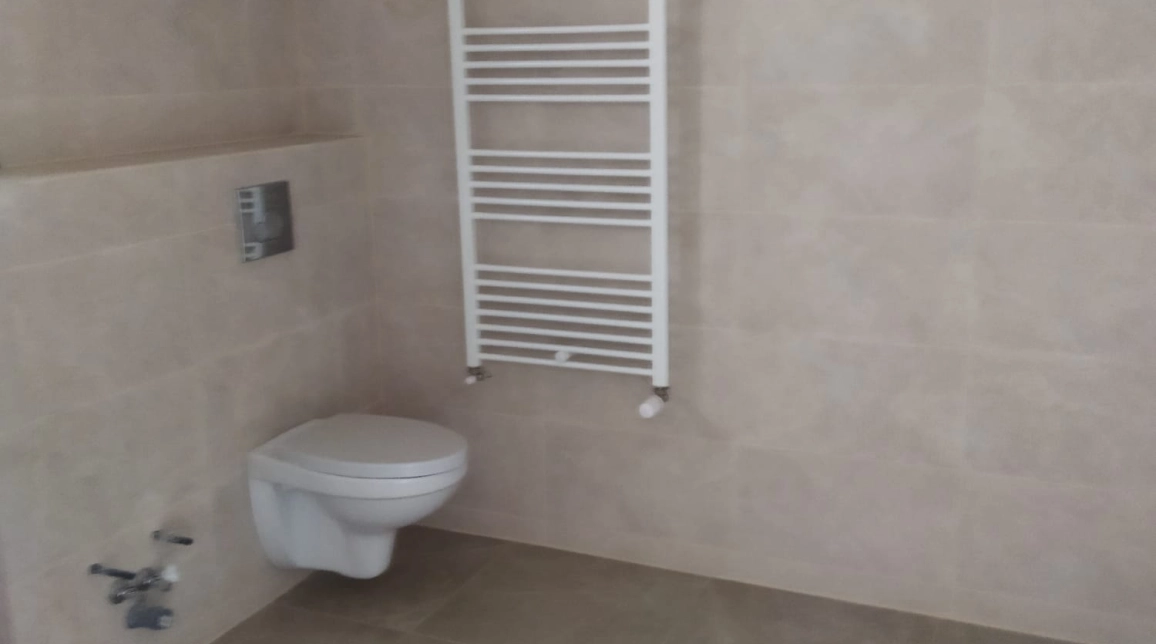 Oferta De vanzare casa, 5 camere, 110 mp, Valea Lupului,  dupa antibiotice imagine 4