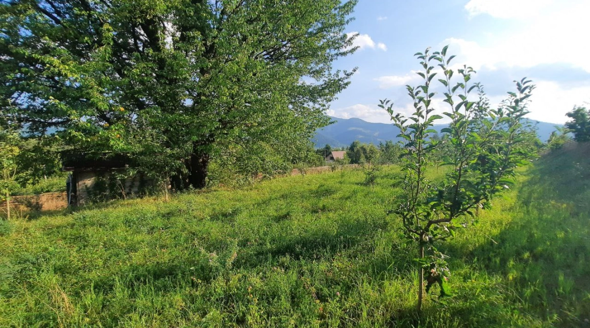 Oferta Teren de vanzare Alexandru cel bun (Jud. Neamt) Viisoara / Pensiunea Smarandita 1091 mp  imagine 2