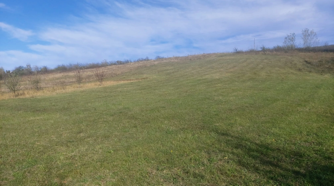 Oferta Teren de vanzare Barnova dupa manastirea Barnova 1000 mp  imagine 5