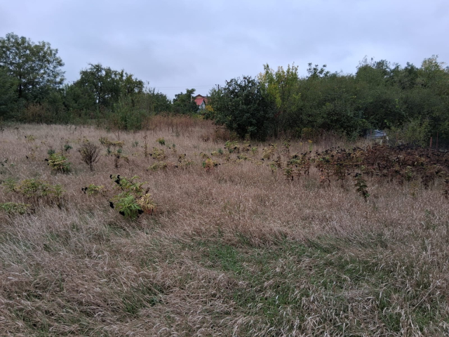 Teren  Ciurea inainte de a 2 cale ferata 642mp  161753