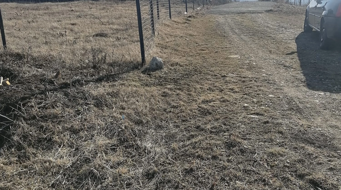 Oferta Teren de vanzare Tomesti dupa Podul Vatafului 664 mp  imagine 1