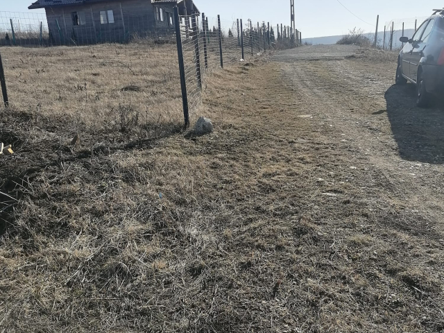 Teren  Tomesti dupa Podul Vatafului 664mp  161905