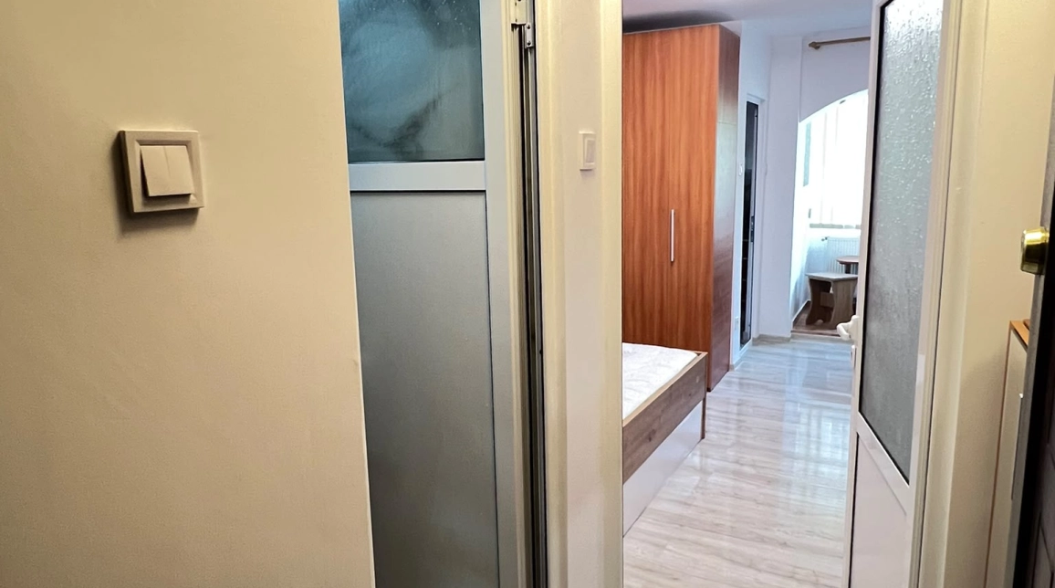 Oferta Apartament, 1 camera decomandat, 22 mp, Nicolina, de vanzare,  Bradului imagine 4