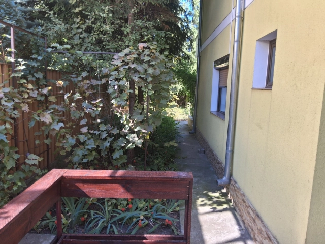 Apartament 4 camere - Popas Pacurari
