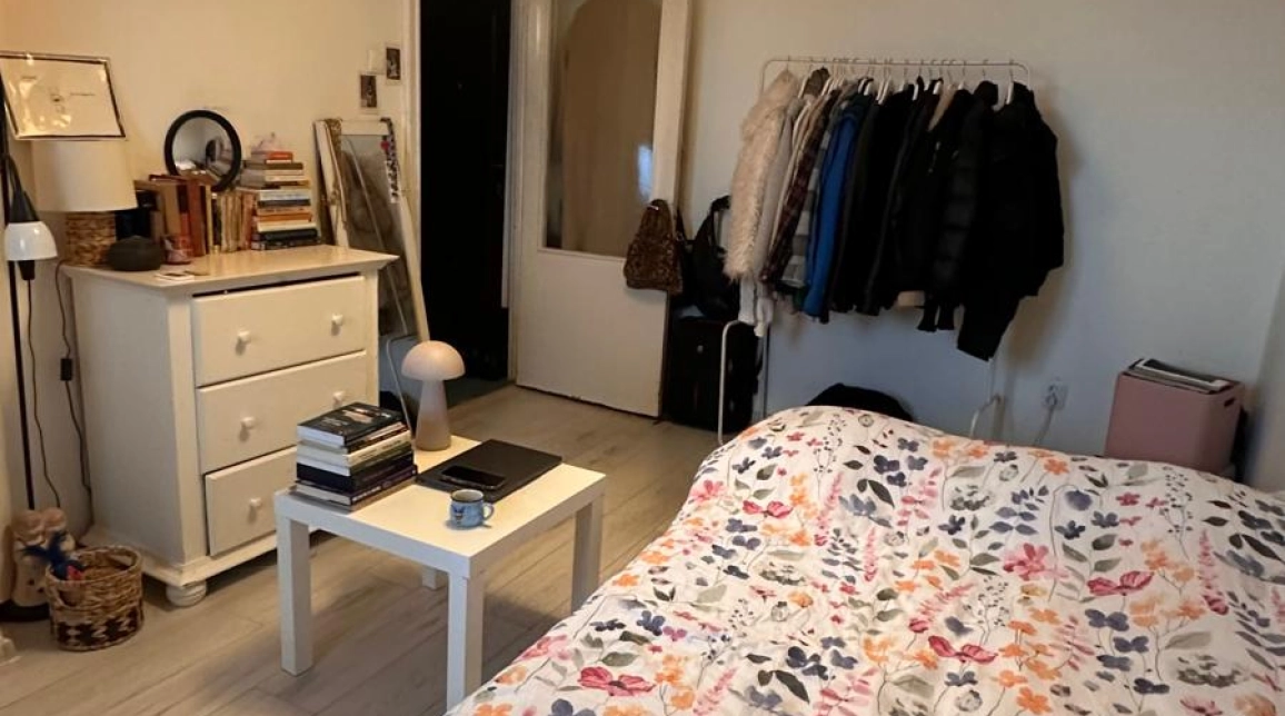 Oferta Podu Ros garsoniera 24 mp, de vanzare,  Liceul Emil Racovita imagine 1