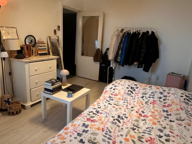 Podu Ros apartament  24 mp, 1 camera,  garsoniera, de vanzare,  (Liceul Emil Racovita) 161719