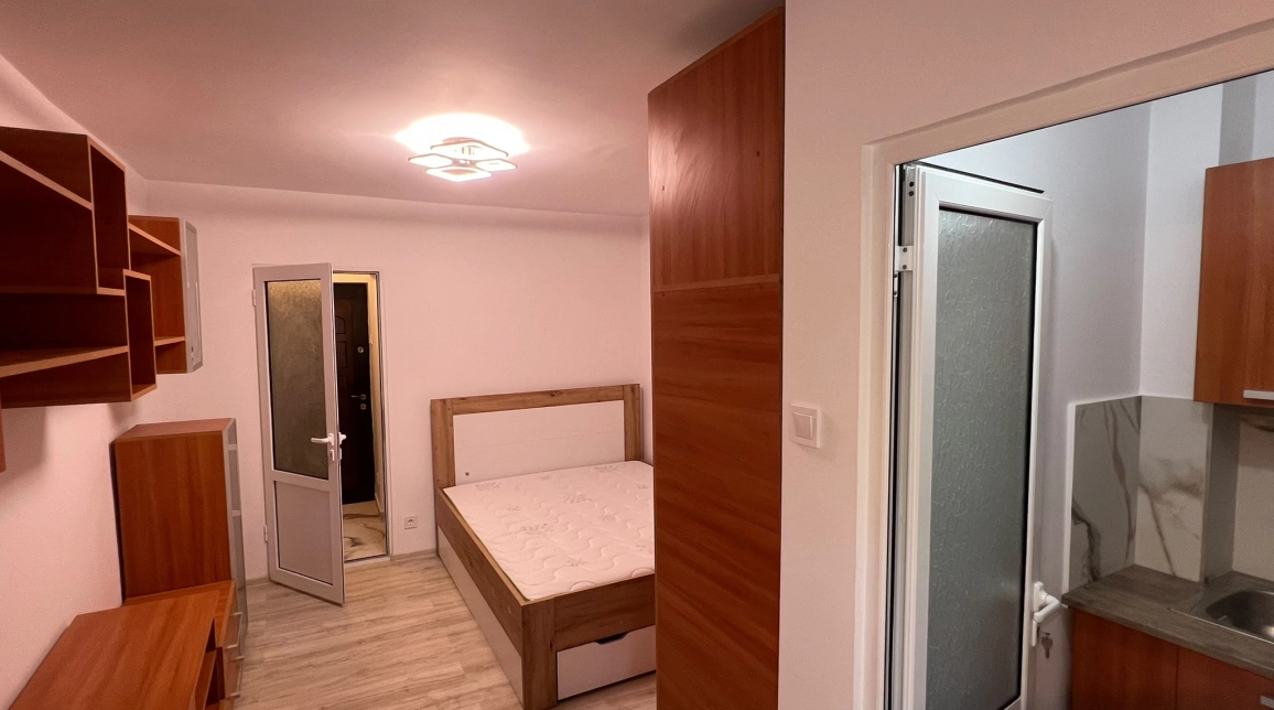 Oferta Apartament, 1 camera decomandat, 22 mp, Nicolina, de vanzare,  Bradului imagine 2