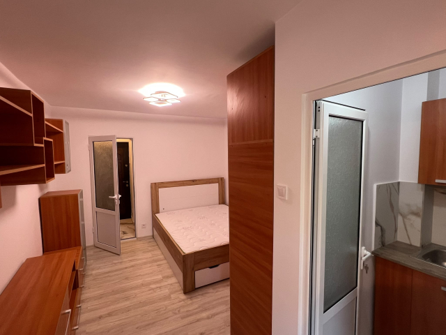 Apartament, 1 camera  decomandat,  22 mp, Nicolina, de vanzare,  (Bradului) 163131