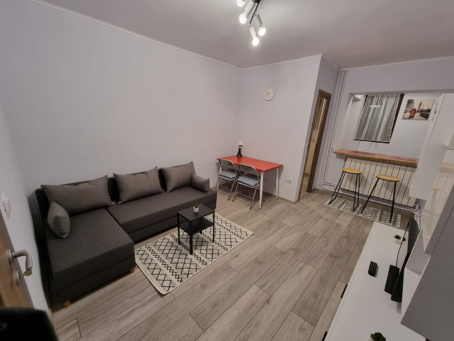Apartament, 1 camera  semidecomandat,  23 mp, Nicolina, de vanzare,  (Gara Nicolina) 163401