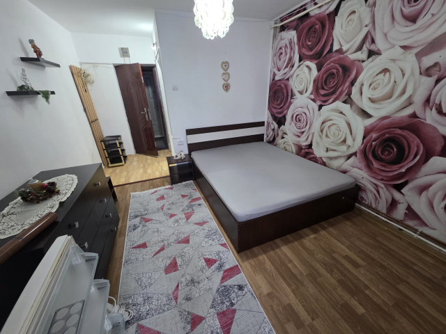 Apartament de inchiriat, 1 camera,  garsoniera,  24 mp, Alexandru cel Bun,  (Zimbru) 162320