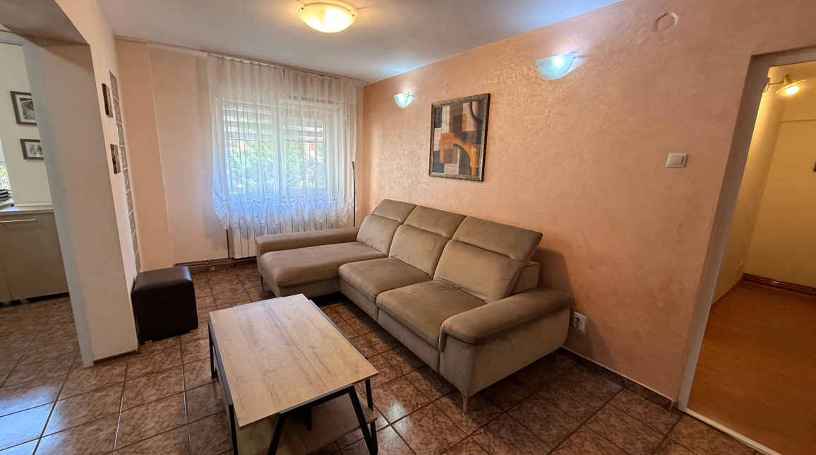 Oferta Apartament de inchiriat, 4 camere, decomandat, 100 mp, Pacurari,  Moara de Foc imagine 7
