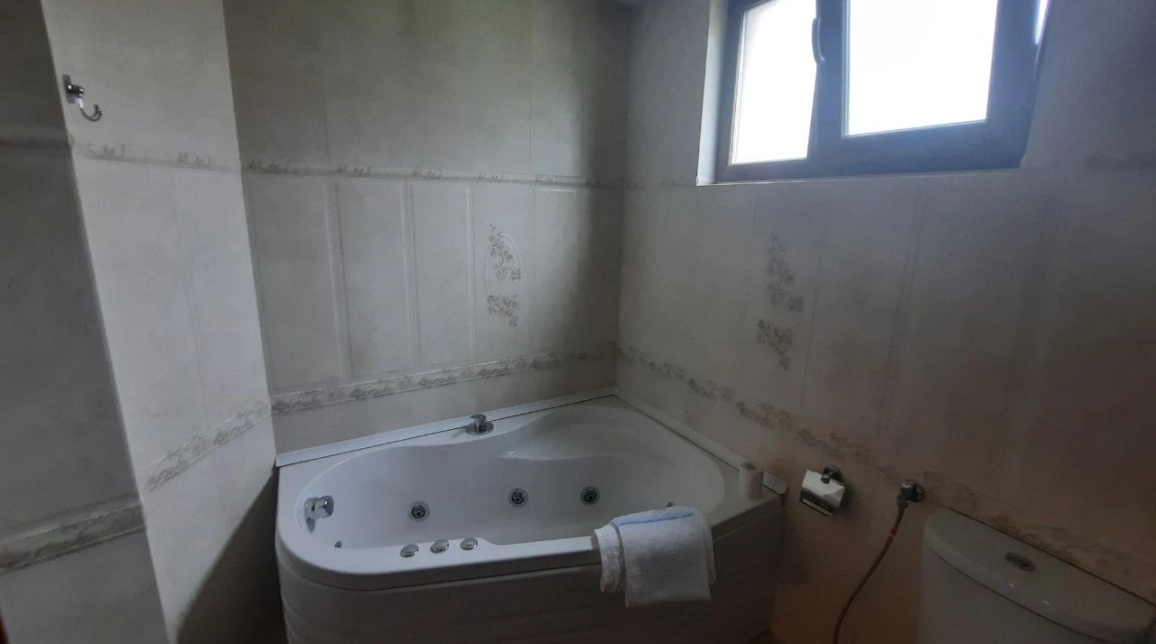 Oferta Alexandru cel bun (Jud. Neamt) casa 340 mp, 7 camere, de vanzare,  Bistrita imagine 17