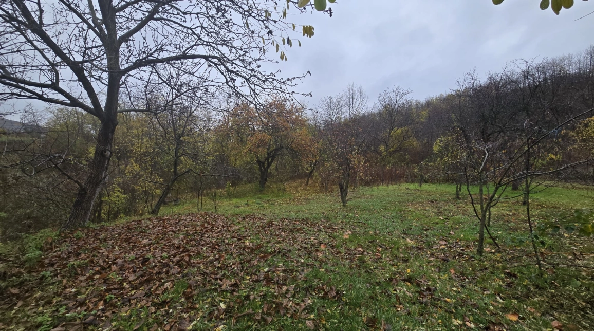 Oferta Teren de vanzare Tomesti Biserica 500 mp  imagine 4