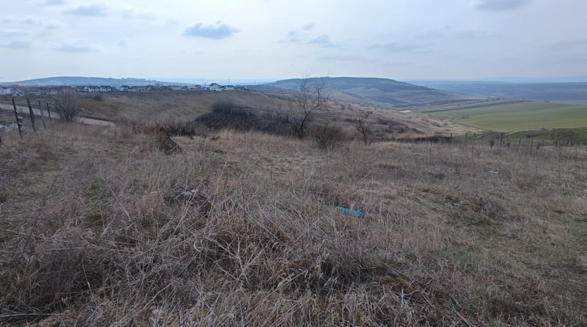 Oferta Teren de vanzare Breazu La Padurea Marzesti cu acces privat 614 mp  imagine 1