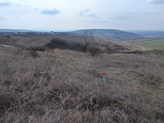 Teren  Breazu La Padurea Marzesti cu acces privat 614mp  161536