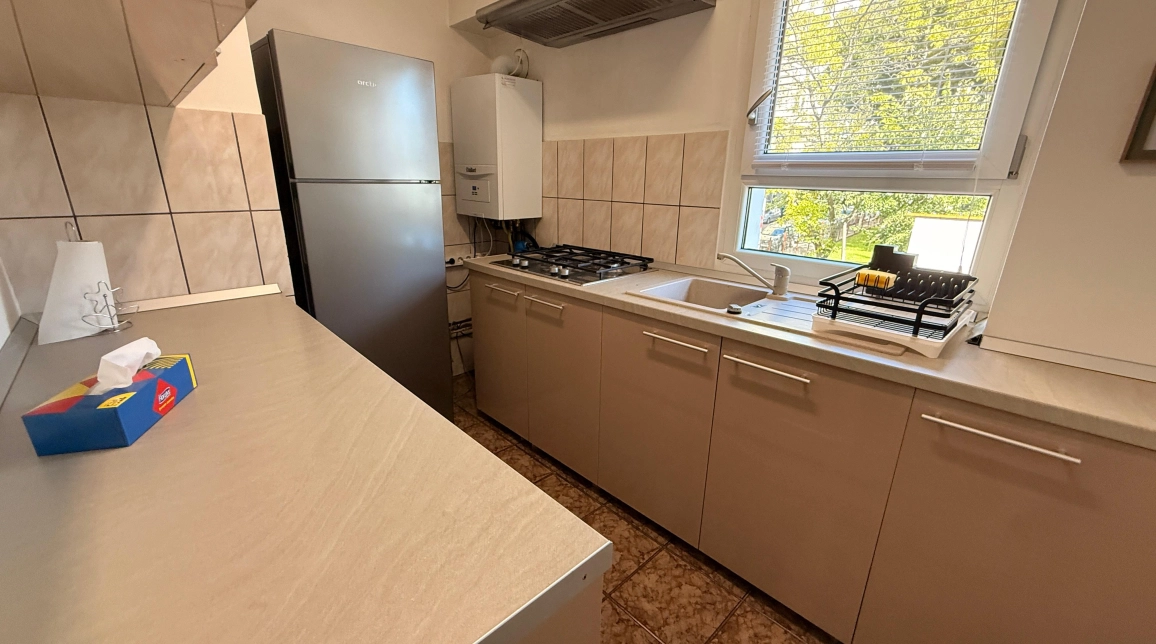 Oferta Apartament de inchiriat, 4 camere, decomandat, 100 mp, Pacurari,  Moara de Foc imagine 6
