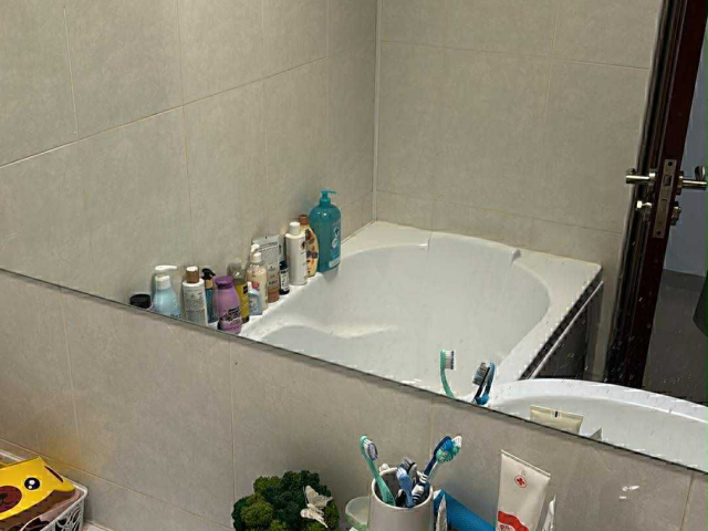 De vanzare apartament, 2 camere,  decomandat,  51 mp, Tatarasi,  (Doi Baieti-bloc nou) 161822