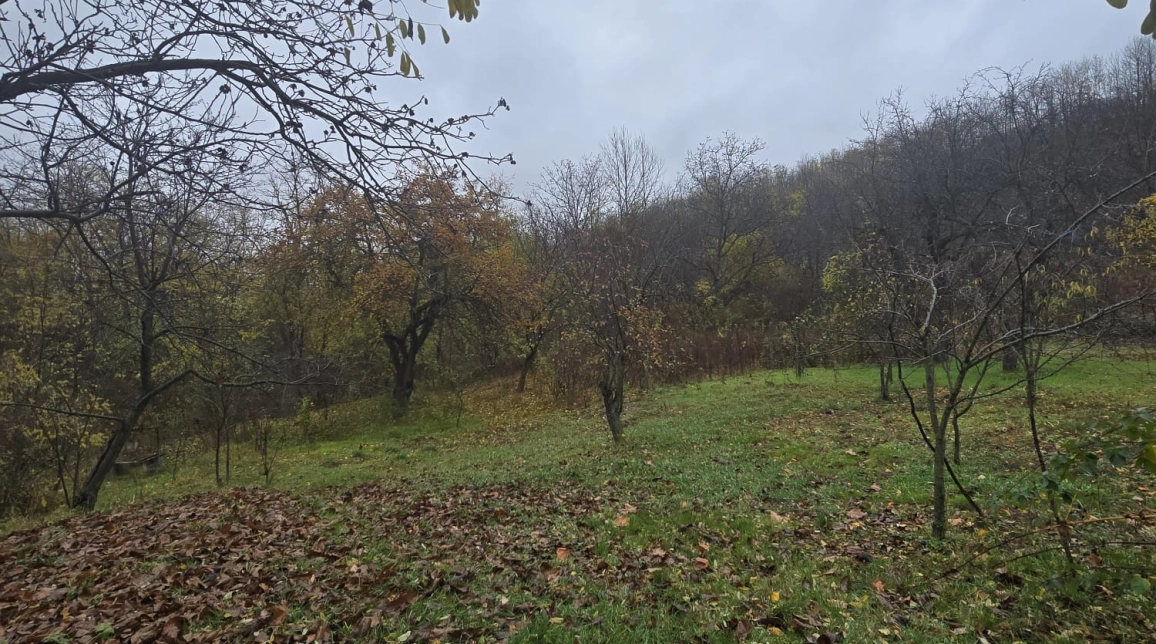 Oferta Teren de vanzare Tomesti Biserica 500 mp  imagine 3