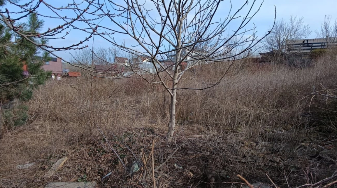 Oferta Teren de vanzare Breazu La intrare -Toate utilitatile 1000 mp  imagine 1