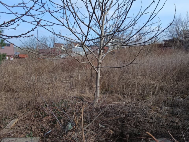 Teren  Breazu La intrare -Toate utilitatile 1000mp  161545