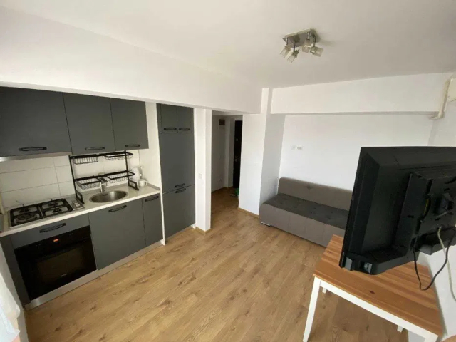 Pacurari apartament  35 mp, 2 camere,  open-space, de inchiriat,  (Aplha Bank) 162429