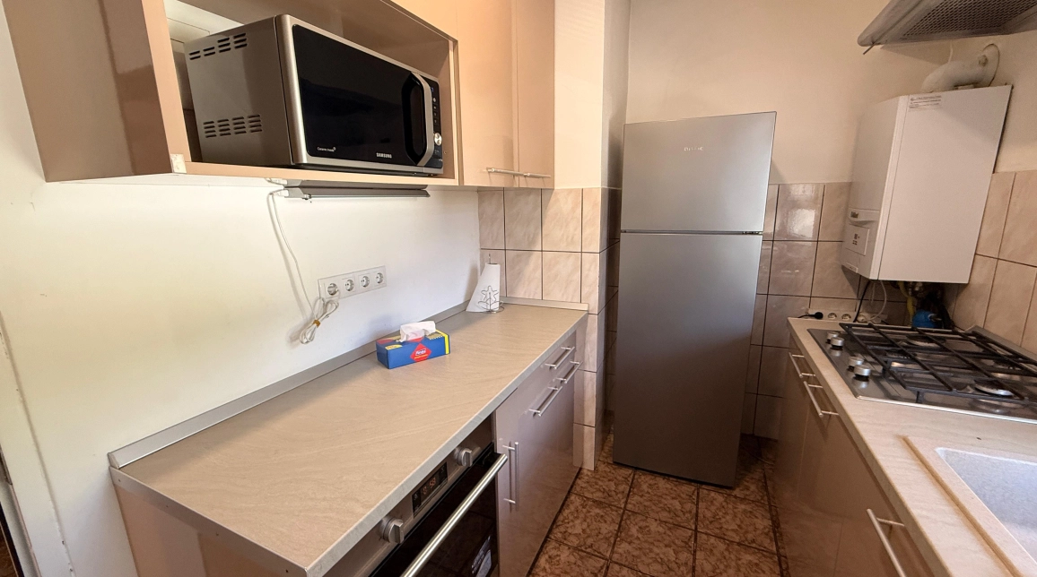Oferta Apartament de inchiriat, 4 camere, decomandat, 100 mp, Pacurari,  Moara de Foc imagine 5