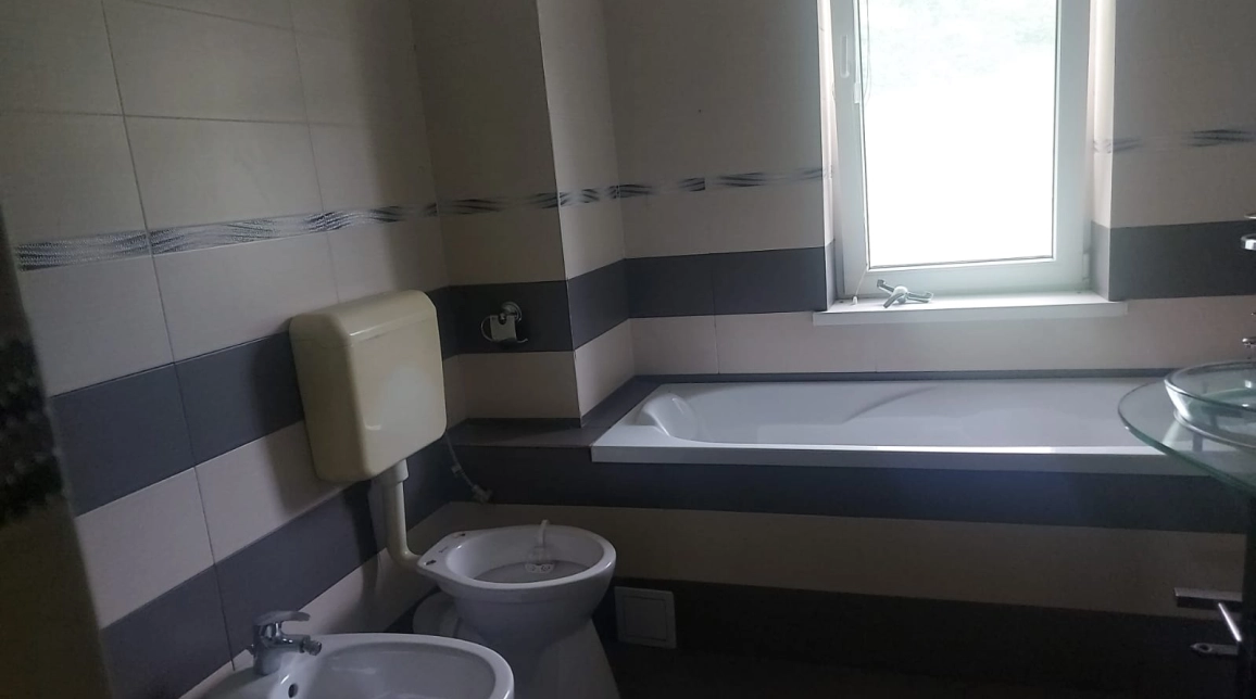 Oferta De inchiriat casa, 9 camere, 590 mp, Sarata,   imagine 8
