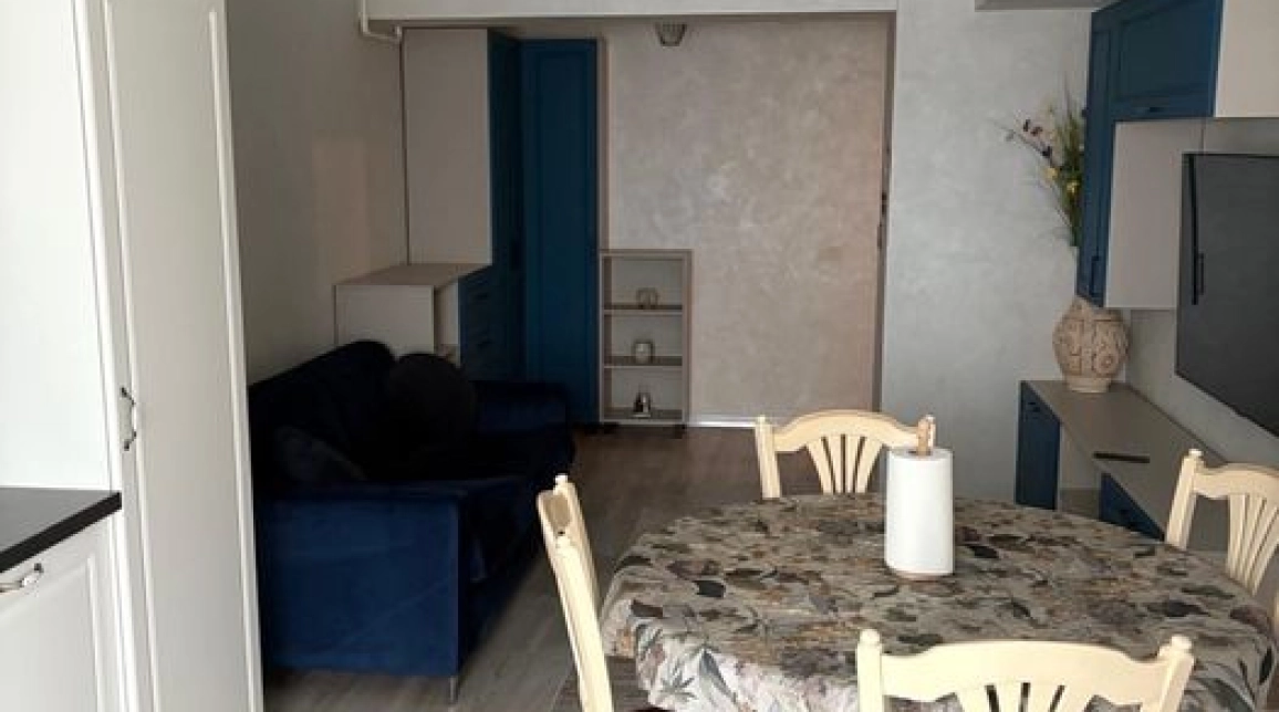 Oferta Apartament, 2 camere open-space, 51 mp, Podul de Fier, de vanzare,  Moara de Vant imagine 3