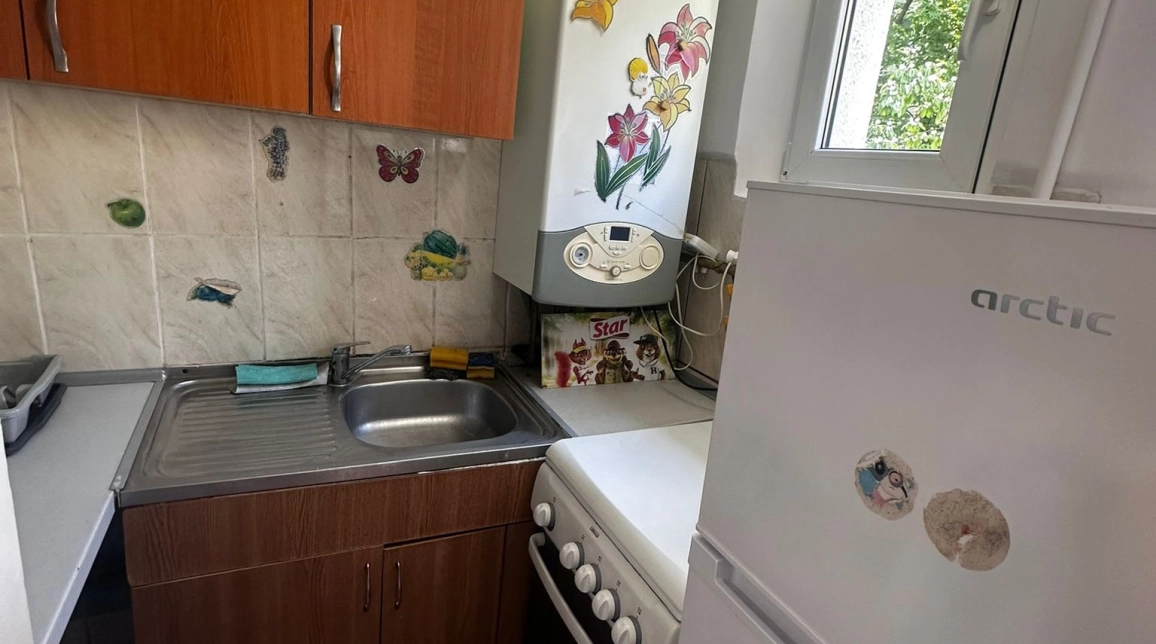 Oferta Tatarasi apartament 30 mp, 2 camere, nedecomandat, de vanzare,  La Doi Baieti imagine 6