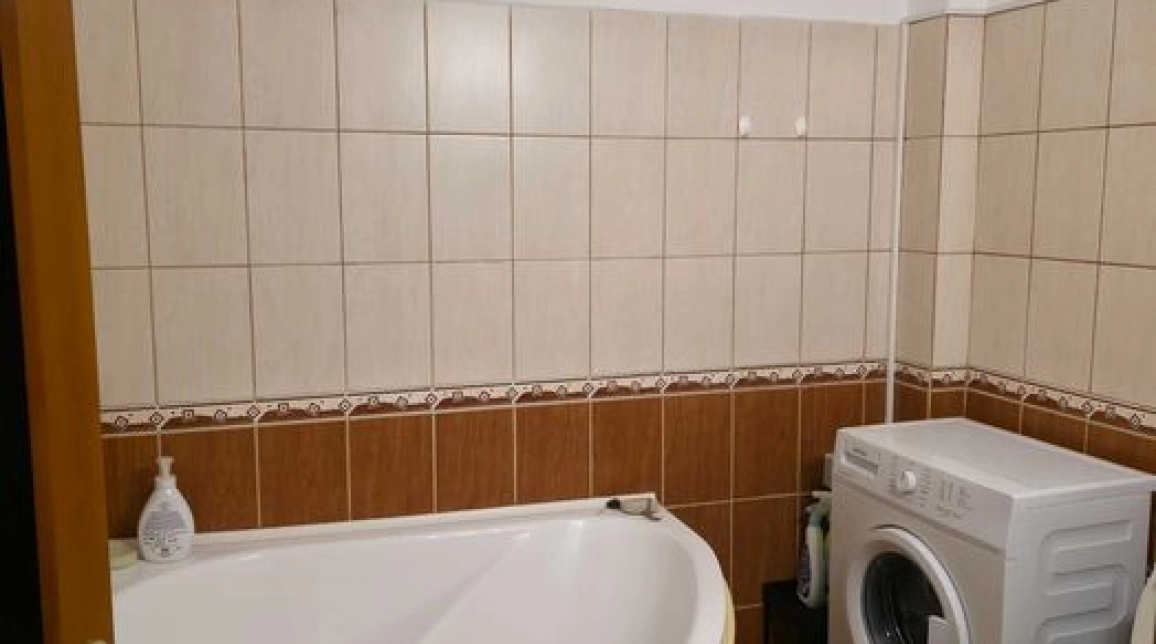 Oferta Apartament de vanzare, 2 camere, open-space, 46 mp, Tatarasi,  Metalurgie-Bloc 2007 imagine 4